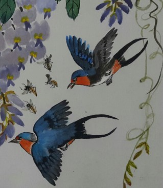 Swallows