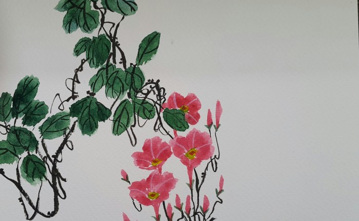 Good Morning Glories