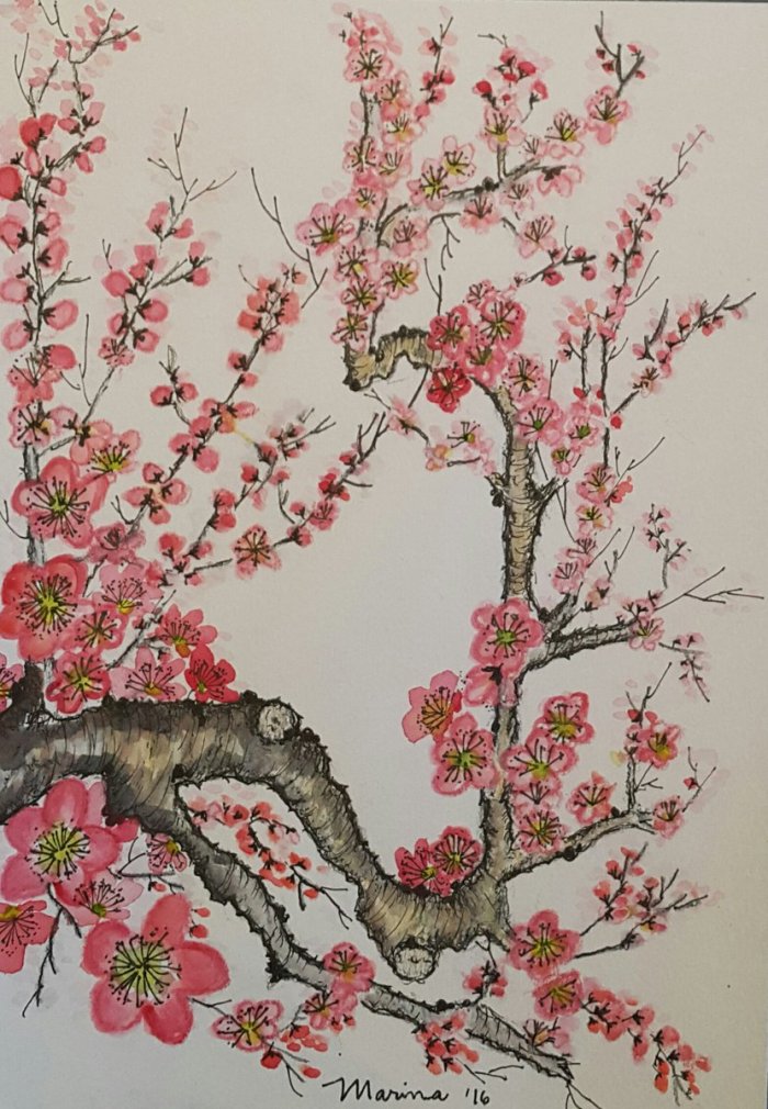 plum-blossoms