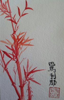 Sprouting Red Bamvoo