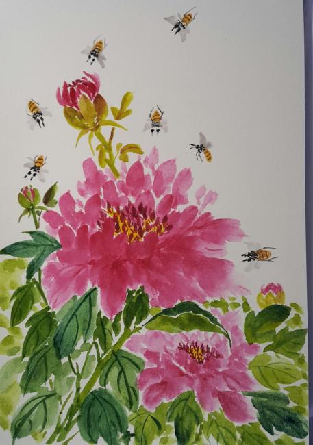 Beauties and the bees