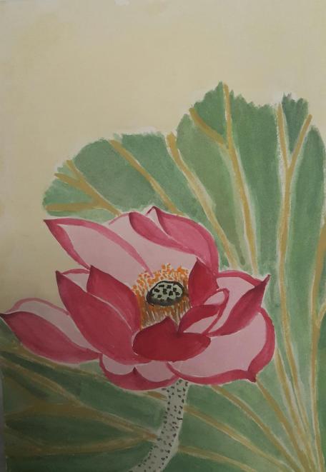 Buddha's lotus