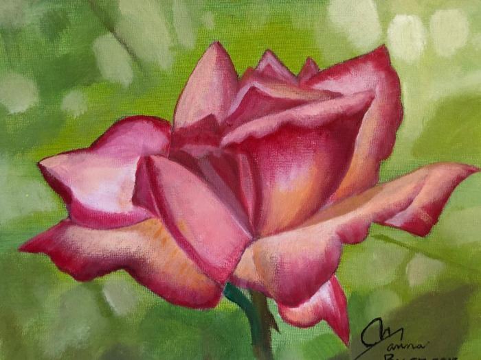 8A-A Very Special Rose