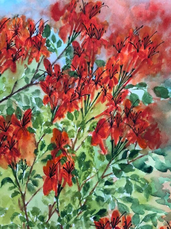 love and devotion blooms