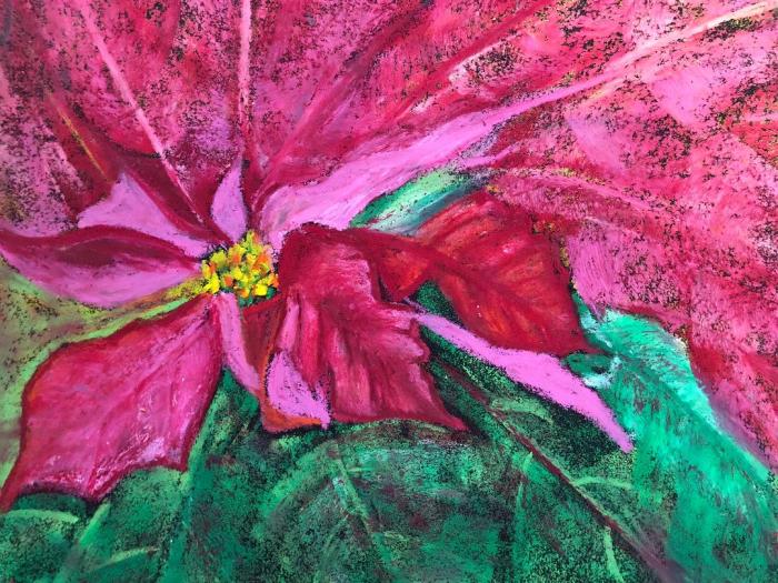poinsettia dream