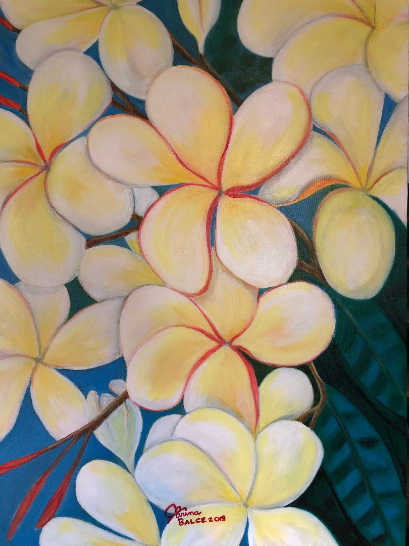 BP 103 Plumeria.jpg