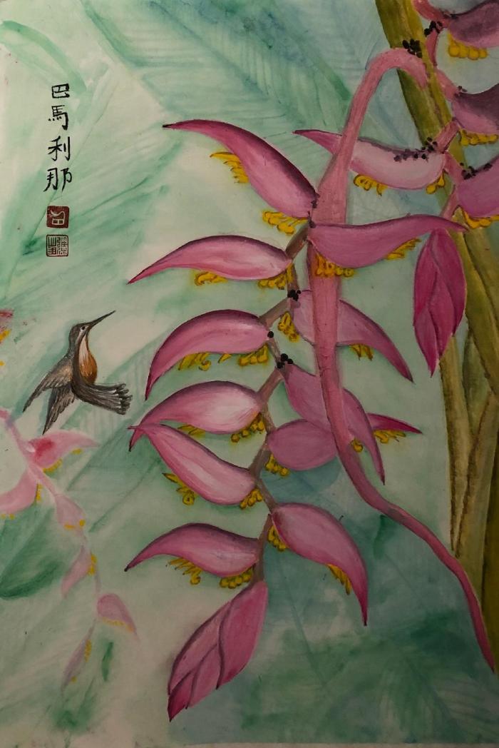 BP 97 Pink Burst.jpg